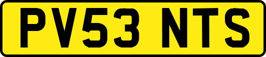 PV53NTS