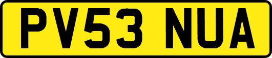 PV53NUA