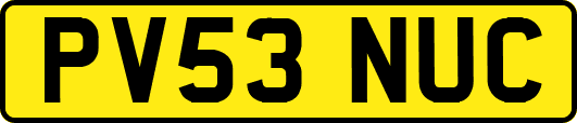 PV53NUC