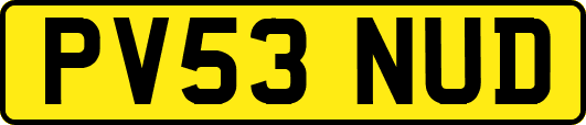 PV53NUD