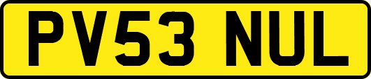 PV53NUL