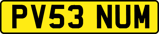 PV53NUM