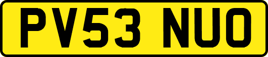 PV53NUO
