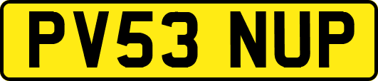 PV53NUP