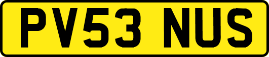 PV53NUS