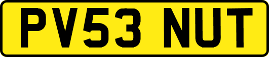 PV53NUT