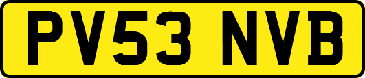 PV53NVB