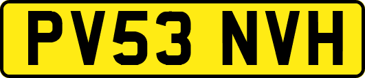 PV53NVH