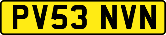 PV53NVN