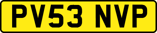 PV53NVP