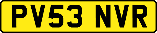 PV53NVR