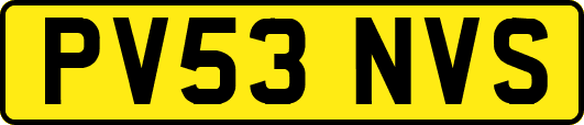 PV53NVS