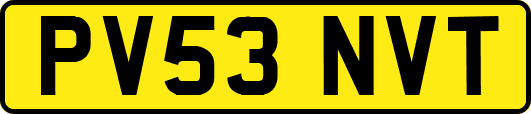 PV53NVT