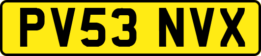 PV53NVX