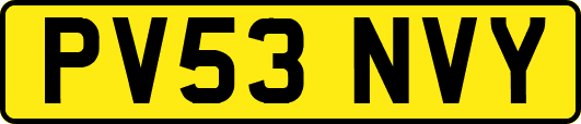 PV53NVY