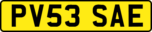 PV53SAE