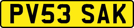 PV53SAK