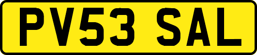 PV53SAL