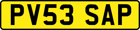 PV53SAP