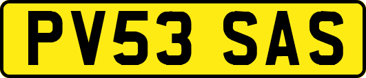 PV53SAS