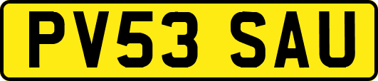 PV53SAU