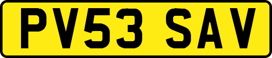 PV53SAV