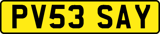PV53SAY