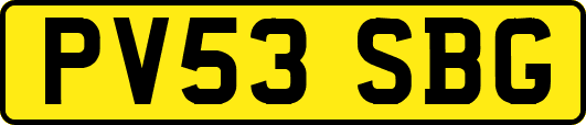 PV53SBG
