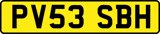 PV53SBH