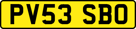 PV53SBO