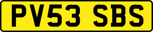 PV53SBS