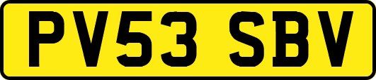 PV53SBV