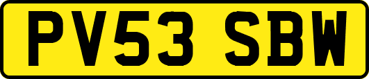PV53SBW