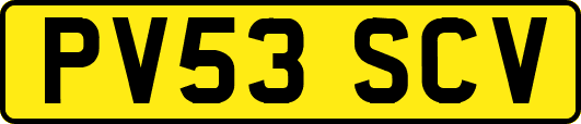 PV53SCV