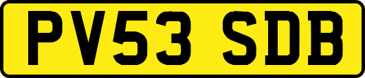 PV53SDB