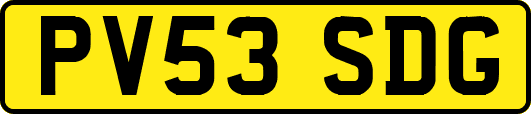 PV53SDG