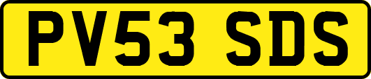 PV53SDS