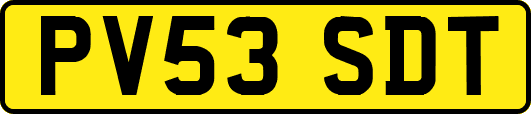 PV53SDT
