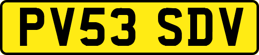 PV53SDV