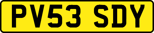 PV53SDY