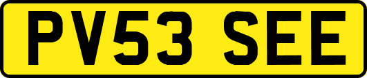 PV53SEE