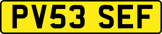 PV53SEF