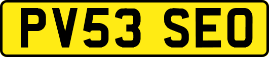 PV53SEO