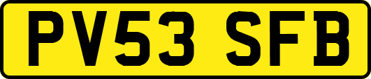 PV53SFB