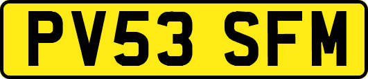 PV53SFM