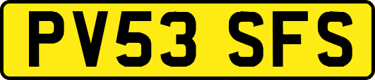 PV53SFS