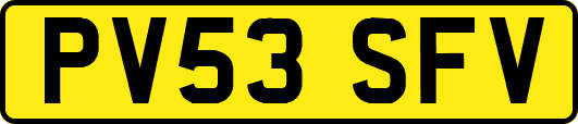 PV53SFV