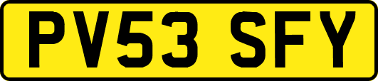 PV53SFY