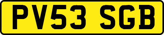 PV53SGB