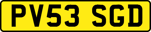 PV53SGD